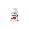 Dobré z SK Vitamín C 500 mg + šípky tablety 30 ks