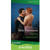 E-kniha Slečna v nesnázích - Bella Frances