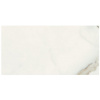 ANTIQUE MARBLE of CERIM Pure Marble_02 40x80cm Nat. Rett.