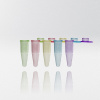 Nerbe plus Micro-tube 0,2 ml s matovaným viečkom, mix farieb, PCR Ready (kartón 10.000 ks)