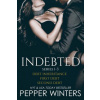 Indebted Series 1-3: Debt Inheritance, First Debt, Second Debt (Pepper Winters)(Brožovaná)