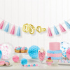 Amscan Strapcová girlanda Gender Reveal 240cm
