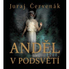 Anděl v podsvětí (audiokniha) (Juraj Červenák; Marek Holý)