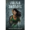 Válka zrcadel