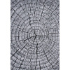 Najkoberce KOLIBRI 11261/190 Mirage 133x190 cm