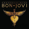 Bon Jovi: Greatest Hits LP - Bon Jovi