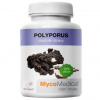 MycoMedica Polyporus 90 kapsúl