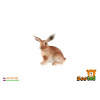 Zajac poľné mláďa zooted plast 6cm