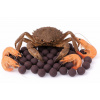 Boilies - MONSTER CRAB - Ø 24 mm 1 kg