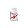 Dobré z SK Vitamín C 1000 mg + šípky tablety 100 ks