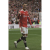 CUKROVÁ TLAČ jedlý obrázok na tortu Cukrová hmota Cristiano Ronaldo Manchester Un