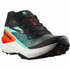 Salomon Black Electric Green Cherry Tomato