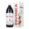 nefdesanté brusnica šťava 0,5 l