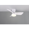 TRIO Reality R64412131 RANDERS Stropný ventilátor s osvetlením D760mm SMD LED 20W/2500lm 2700-6000K biela, diaľkový ovládač