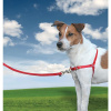 Postroj pre psa EasyWalk Harness proti ťahaniu veľ. L červený (postroj pre psa)