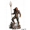 Iron Studios socha DC Comics Zack Snyder's Justice League Aquaman, mierka 1:10, 29 cm, DCCJLE57321-10