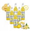 Sada Koncentrát na limonádu MONIN LEMONADE MIX Limoniada 6x1L