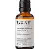 Evolve Organic Beauty Zen Whisper Essence - 10 ml