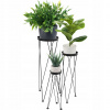 Stojan na kvety - Kvetinové záhony na kvetináče Nastavte 3 kovové čierne (Stojan na kvety - Kvetinové záhony na kvetináče Nastavte 3 kovové čierne)