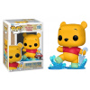 Funko POP! Disney Winnie in the Rain 1159