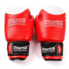 Boxerské rukavice Evolution Professional RB21 10 oz Red
