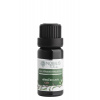Nobilis Tilia Klinček, listy 10 ml