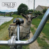 Za fúzy ma poťahaj - ZVA 12-28 Band CD