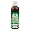 Naděje Bacopa tinktura z pupenů P70 50 ml