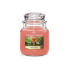 Yankee Candle The Last Paradise 411 g