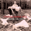 Landa Daniel - Chcíply dobrý víly / Vinyl [LP]