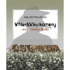 V hledáčku kamery (Miloš Polášek)