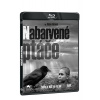 Nabarvené ptáče 2BD (BD+BD bonus disk)