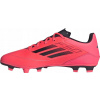 Boty Adidas adidas F50 Club FxG IE0613