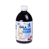 Orling Geladrink Forte Hyal biosol příchuť višeň 500 ml