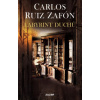 Labyrint duchů - Zafón Carlos Ruiz