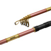 Prut Delphin QUEEN Tele 300cm 100g