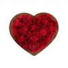 Red Heart 