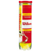 Tenisové loptičky Wilson Championship Extra Duty 4B