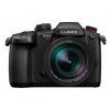 Panasonic DC-GH5 II + LEICA 12-60mm F2,8-4,0 ASPH., POWER OIS