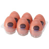 TENGA Tenga Egg Misty II HB 6pcs