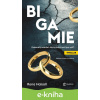 E-kniha Bigamie - Rona Halsall