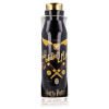 Nerezová fľaša na pitie Stor Harry Potter 580 ml