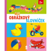 Můj obrázkový slovníček