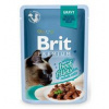 Brit Premium Cat D Fillets in Gravy With Beef 85 g - 1 ks