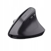 Trust Bayo+ Ergonomic Wireless Mouse 25146