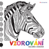 Vzorování - nový zážitek z omalovánek - Felicity Frenchová