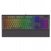 ENDORFY herná klávesnica Omnis Pudd.Kailh RD RGB /USB/ red switch / drôtová / mechanická / US layout / čierna RGB (EY5A033)