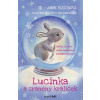 Lucinka a zraněný králíček - Anne Boothová