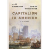 Capitalism in America - Alan Greenspan, Adrian Wooldridge, Allen Lane