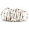 ECOLIGHT LED pásik - SMD 5630 - 5m - 60LED/m - 18W/m - IP65 - studená biela